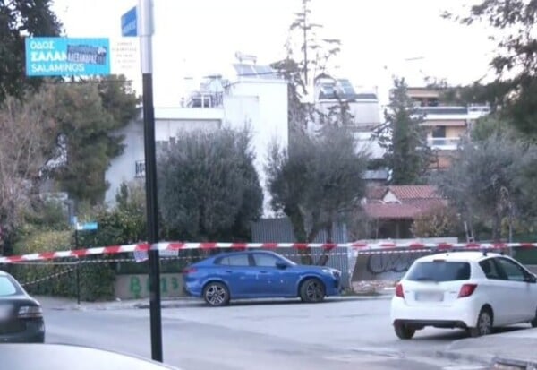 ΟΒΙΔΑ ΠΕΥΚΗ ΠΑΙΔΙΑ ΕΞΟΥΔΕΤΕΡΩΣΗ