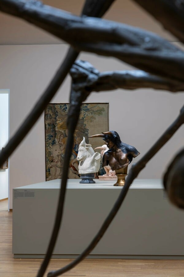 Από τη Μέδουσα μέχρι το κλιματικό άγχος: γιατί ο Οβίδιος είναι παντού ξανά