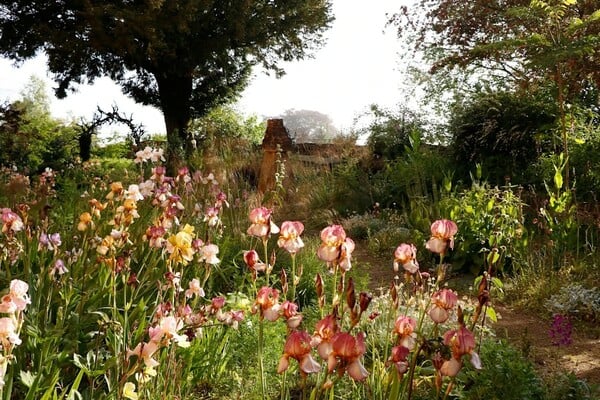 Ο νέος σταρ της βρετανικής κηπουρικής δεν πουλά μόνο φυτά, αλλά έναν ολόκληρο τρόπο να βλέπεις τον κόσμο