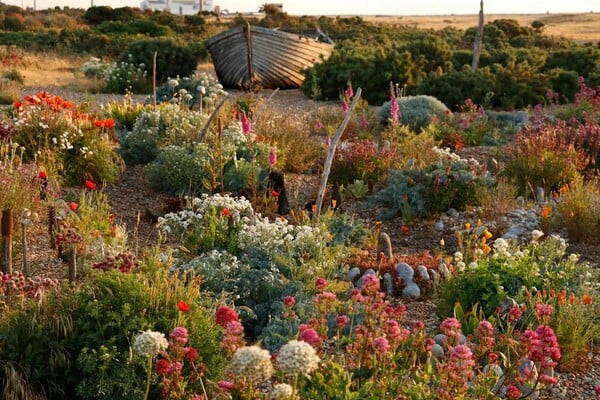 Ο νέος σταρ της βρετανικής κηπουρικής δεν πουλά μόνο φυτά, αλλά έναν ολόκληρο τρόπο να βλέπεις τον κόσμο