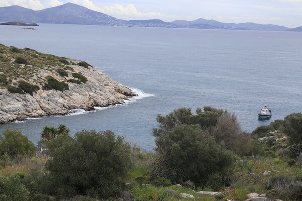 ΒΟΥΛΙΑΓΜΕΝΗ ΛΙΜΑΝΑΚΙΑ ΔΥΤΗΣ ΑΝΑΣΥΡΣΗ ΘΑΝΑΤΟΣ