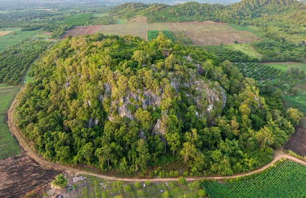 Τιρκουάζ οχιά και «ιπτάμενο φίδι» ανάμεσα στα σπάνια είδη που ανακαλύφθηκαν σε σπήλαιο στην Καμπότζη