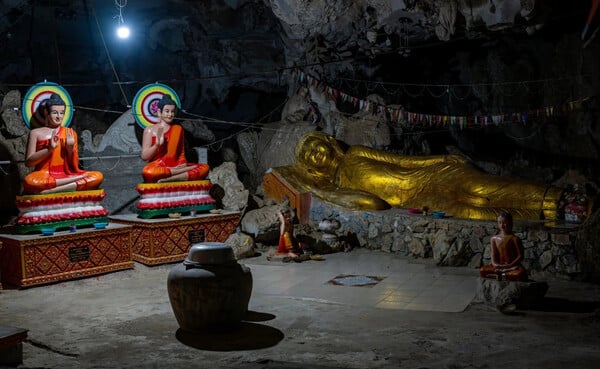 Τιρκουάζ οχιά και «ιπτάμενο φίδι» ανάμεσα στα σπάνια είδη που ανακαλύφθηκαν σε σπήλαιο στην Καμπότζη