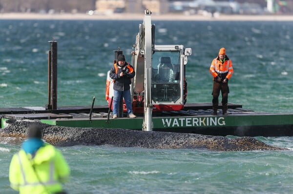 ΦΑΛΑΙΝΑ ΓΕΡΜΑΝΙΑ ΔΙΑΣΩΣΗ