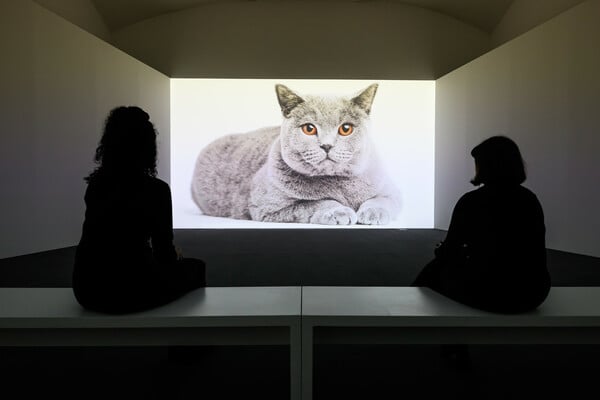 Οι αιχμηρές λέξεις και οι καθηλωτικές εικόνες της Μπάρμπαρα Κρούγκερ