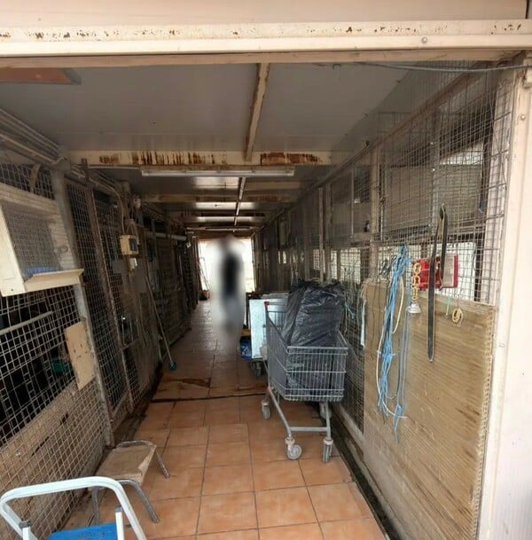 ΑΜΠΕΛΟΚΗΠΟΙ ΠΑΡΑΝΟΜΗ ΕΚΤΡΟΦΗ ΚΟΤΟΠΟΥΛΑ ΔΙΚΟΓΡΑΦΙΑ ΤΑΡΑΤΣΑ