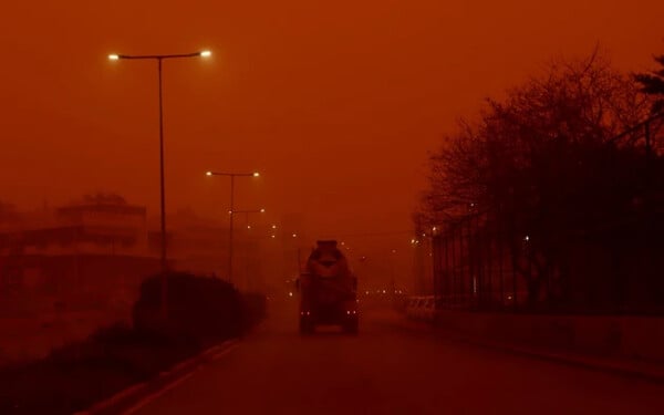 ΚΡΗΤΗ ΑΦΡΙΚΑΝΙΚΗ ΣΚΟΝΗ ΠΤΗΣΕΙΣ