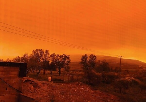 ΚΡΗΤΗ ΑΦΡΙΚΑΝΙΚΗ ΣΚΟΝΗ ΠΟΡΤΟΚΑΛΙ