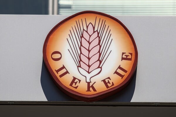 ΟΠΕΚΕΠΕ ΒΟΥΛΕΥΤΕΣ ΑΡΣΗ ΑΣΥΛΙΑΣ ΕΥΡΩΠΑΙΚΗ ΕΙΣΑΓΓΕΛΙΑ