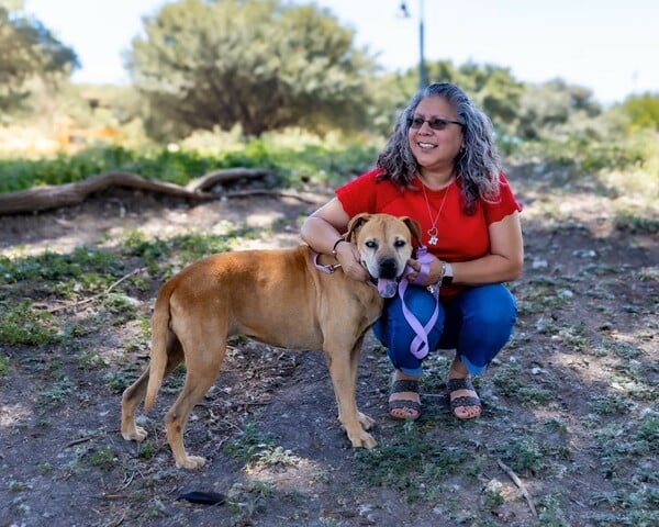 Οταν η AI δεν γράφει κείμενα, αλλά βρίσκει χαμένους σκύλους και γάτες