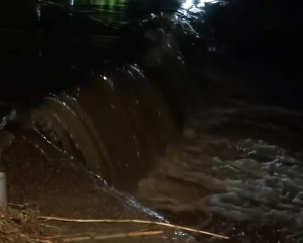 ΣΠΑΤΑ ΟΔΟΣ ΠΕΥΚΟΥ ΡΕΜΑ ΥΠΕΡΧΕΙΛΙΣΗ ΚΑΚΟΚΑΙΡΙΑ ΚΑΙΡΟΣ