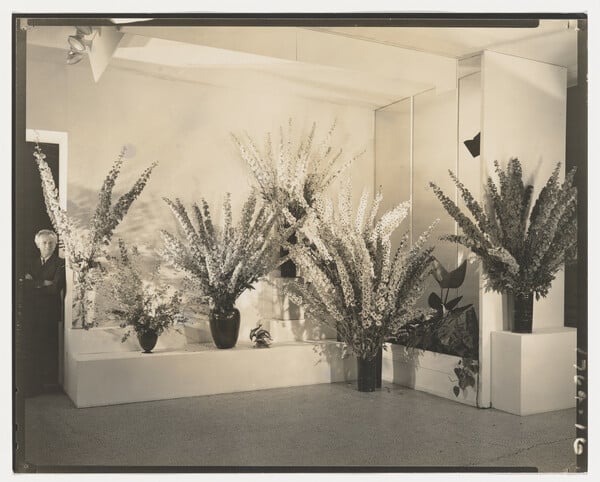 Θέλω να δεις τα λουλούδια όπως τα βλέπω εγώ 