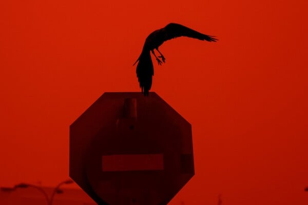 ΚΡΗΤΗ ΑΦΡΙΚΑΝΙΚΗ ΣΚΟΝΗ ΗΡΑΚΛΕΙΟ ΣΥΓΚΕΝΤΡΩΣΕΙΣ