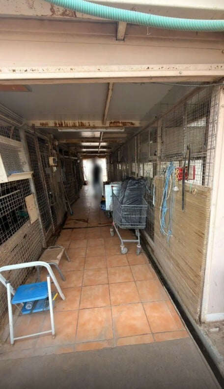 ΑΜΠΕΛΟΚΗΠΟΙ ΜΑΝΤΡΙ ΚΟΤΕΣ ΠΑΡΑΝΟΜΑ ΑΣΤΙΚΗ ΚΤΗΝΟΤΡΟΦΙΑ ΑΘΗΝΑ