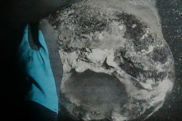 ΝΑΥΑΓΙΟ ΑΡΧΑΙΟΛΟΓΟΙ ΑΝΑΚΑΛΥΨΗ