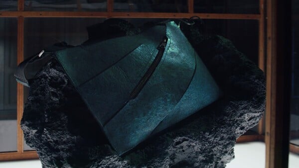 ΤΣΑΝΤΑ ΔΗΜΟΠΡΑΣΙΑ ΤΥΡΑΝΝΟΣΑΥΡΟΣ