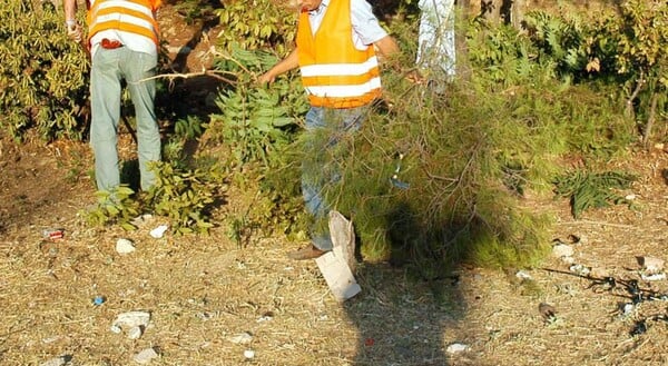 ΑΚΑΘΑΡΙΣΤΑ ΟΙΚΟΠΕΔΑ 2026 ΑΙΤΗΣΕΙΣ