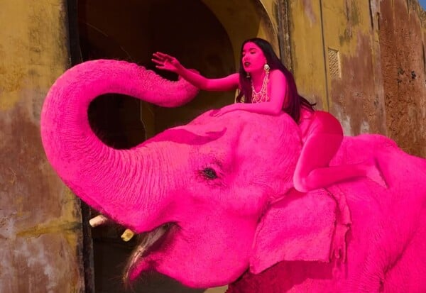 ΡΟΖ ΕΛΕΦΑΝΤΑΣ ΑΝΤΙΔΡΑΣΕΙΣ