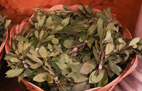 ΚΥΡΙΑΚΗ ΤΩΝ ΒΑΙΩΝ ΤΙ ΓΙΟΡΤΑΖΟΥΜΕ