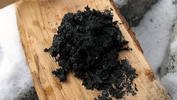 Μελέτη: Οι Νεάντερταλ είχαν αντιβακτηριακή «κόλλα» πριν από 200.000 χρόνια