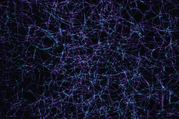 ΕΓΚΕΦΑΛΟΣ ΨΥΧΕΔΕΛΙΚΕΣ ΟΥΣΙΕΣ ΝΕΥΡΩΝΕΣ