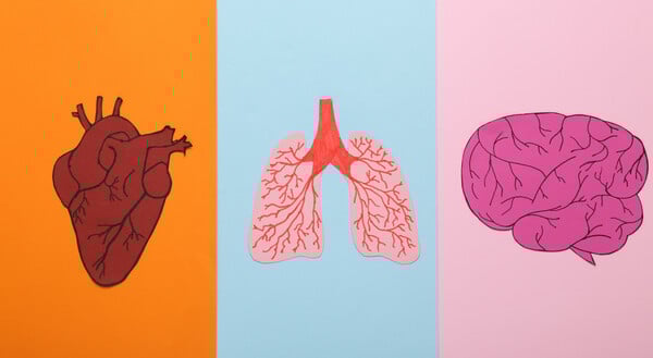 Καρδιοπνευμονικό ταξίδι φροντίδας, με την καρδιά και τον πνεύμονα να μιλούν την ίδια γλώσσα στη ΧΑΠ