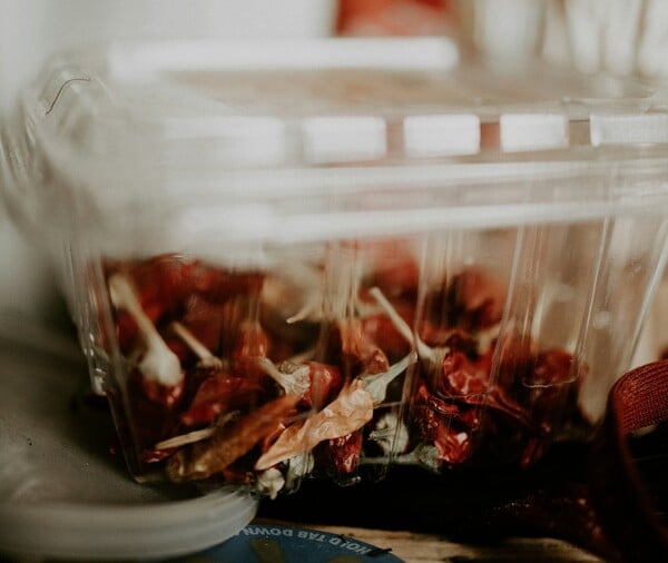 ΤΑΠΕΡ ΕΡΕΥΝΑ