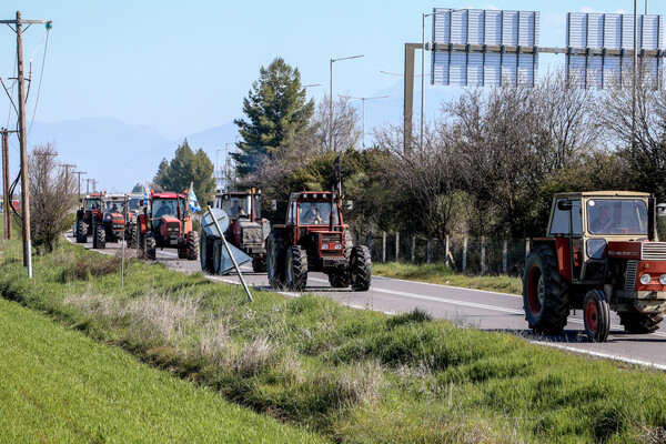 ΑΓΡΟΤΕΣ ΜΠΛΟΚΟ ΤΡΑΚΤΕΡ ΚΑΡΔΙΤΣΑ Ε 65 ΑΙΤΗΜΑΤΑ
