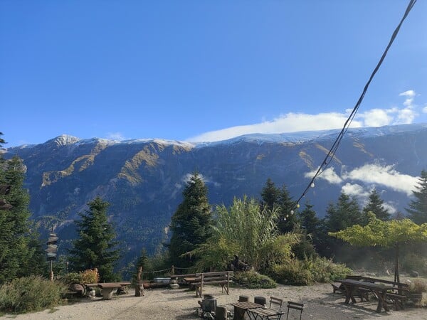 «Οι Μελισσουργοί έγιναν το σπίτι μου, με έσωσαν από τους εσωτερικούς μου δαίμονες»