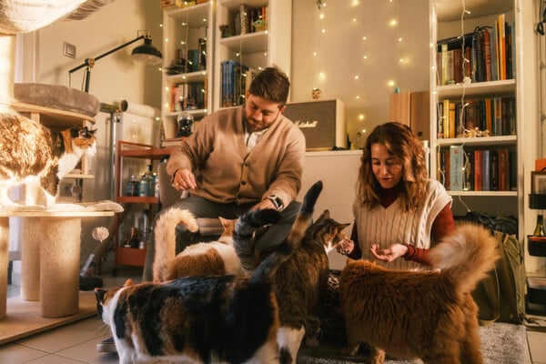 Το κατοικίδιό μου, το «παιδί» μου