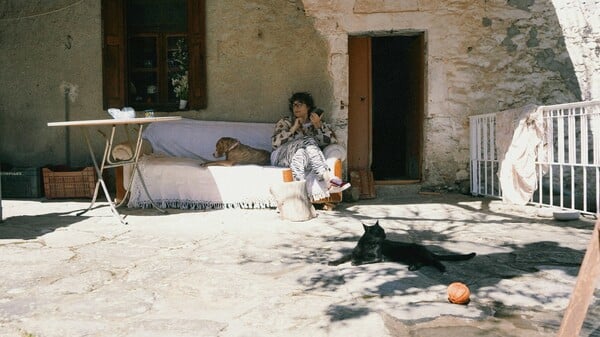 Το κατοικίδιό μου, το «παιδί» μου