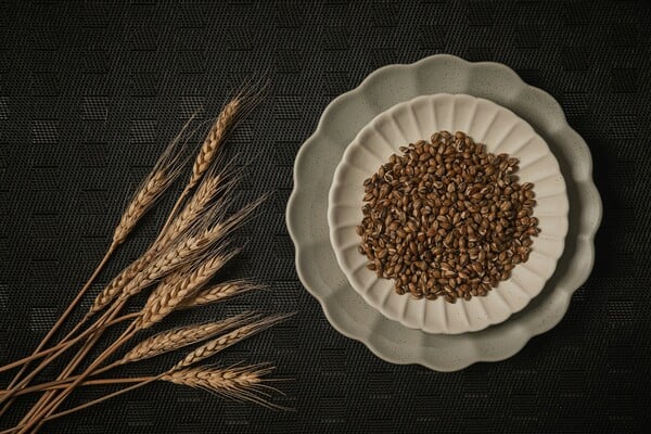 ΑΡΧΑΙΑ ΔΗΜΗΤΡΙΑΚΑ ΔΙΑΤΡΟΦΗ ΜΟΔΑ