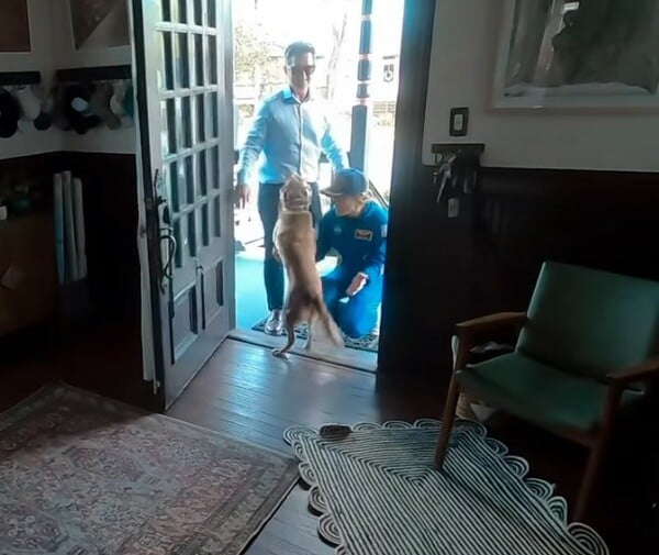 ARTEMIS II ΚΡΙΣΤΙΝΑ ΚΟΧ ΣΚΥΛΟΣ ΕΠΑΝΕΝΩΣΗ