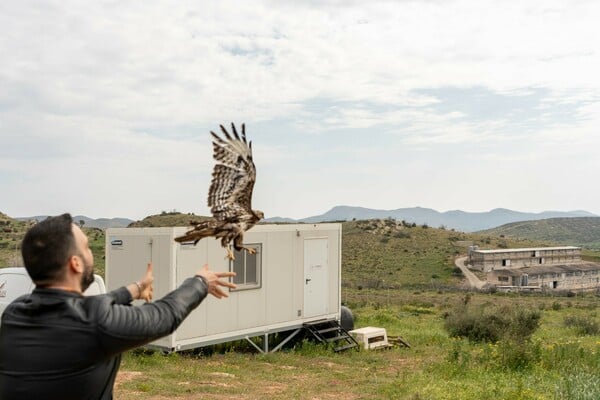 Μια διαφορετική Δευτέρα στο γραφείο: Επίσκεψη στο καταφύγιο της ΑΝΙΜΑ με το The Collective 