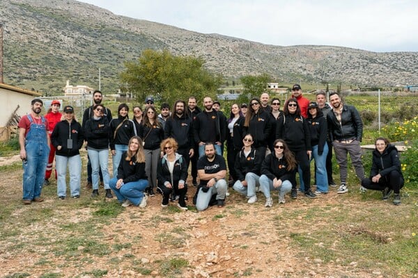 Μια διαφορετική Δευτέρα στο γραφείο: Επίσκεψη στο καταφύγιο της ΑΝΙΜΑ με το The Collective 