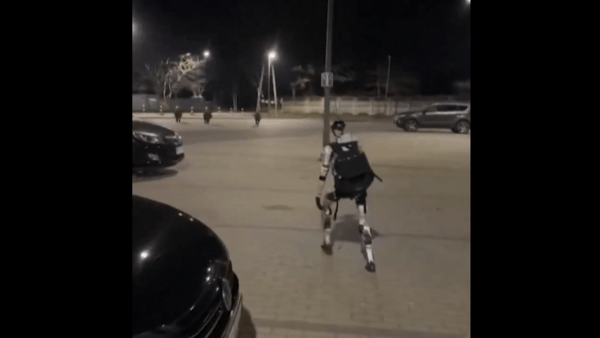 Βαρσοβία: Viral ρομπότ που κυνηγά αγριογούρουνα στους δρόμους