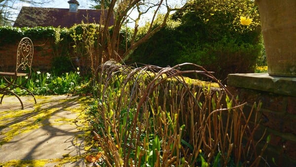 Στον κήπο της Τζούντι Ντεντς κάθε δέντρο θυμίζει κάποιον που έφυγε