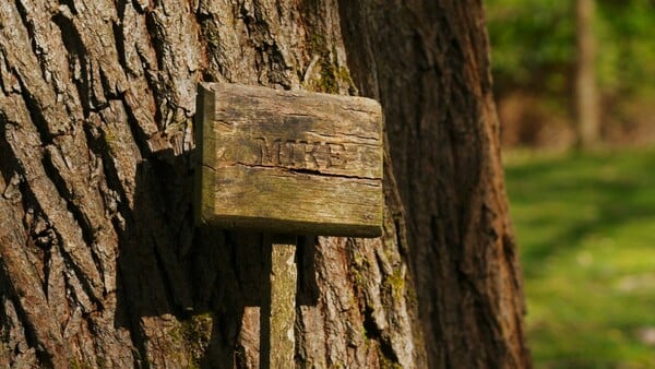 Στον κήπο της Τζούντι Ντεντς κάθε δέντρο θυμίζει κάποιον που έφυγε