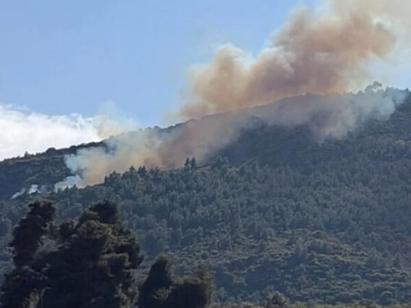 ΦΩΤΙΑ ΤΩΡΑ ΑΧΑΙΑ ΠΥΡΟΣΒΕΣΤΙΚΗ