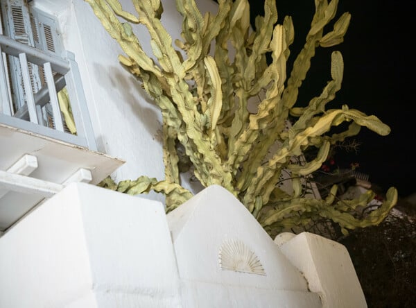 Μεταφυσική της Μυκόνου