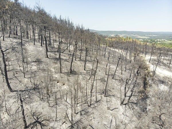 Τι αλλάζει για δάση, ΑΠΕ και Natura: Ένα πακέτο ρυθμίσεων που πυροδοτεί αντιδράσεις