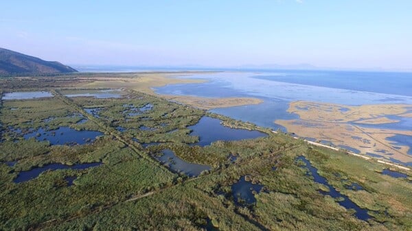 Τι αλλάζει για δάση, ΑΠΕ και Natura: Ένα πακέτο ρυθμίσεων που πυροδοτεί αντιδράσεις