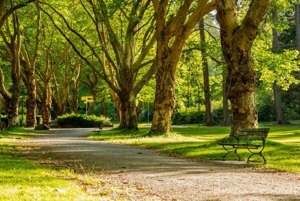 ΗΠΑ ΠΥΡΟΒΟΛΙΣΜΟΙ ΠΑΡΚΟ ΝΕΚΡΟΙ