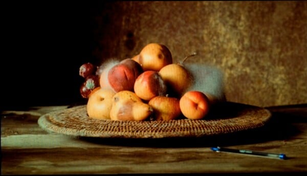 Μια νέα έκθεση στο Λονδίνο κοιτάζει κατάματα το γήρας