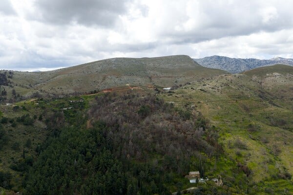2.000 νέα δέντρα από το φυσικό μεταλλικό νερό ΒΙΚΟΣ σε Χίο και Βόρεια Εύβοια