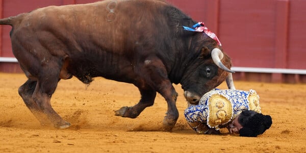 Διάσημος ταυρομάχος επέστρεψε από τη σύνταξη και τον «κάρφωσε» ταύρος- Σκληρές εικόνες