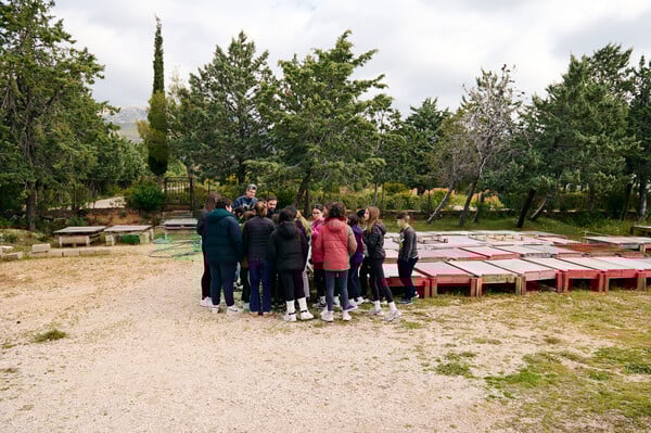 Πέντε χρόνια δράσης της Motor Oil στην Αμυγδαλέζα: Μια πρωτοβουλία για τα ελληνικά δάση