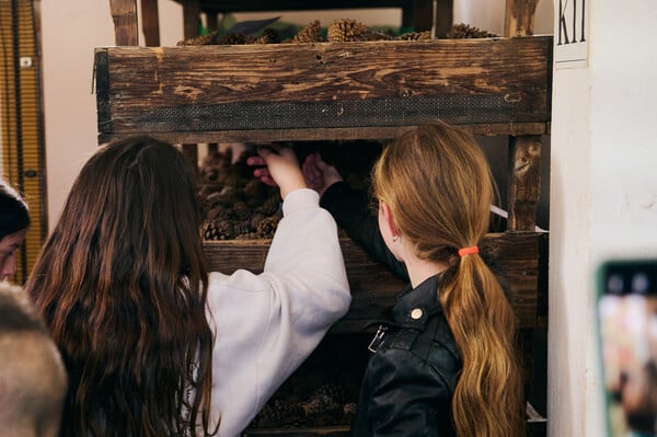 Πέντε χρόνια δράσης της Motor Oil στην Αμυγδαλέζα: Μια πρωτοβουλία για τα ελληνικά δάση