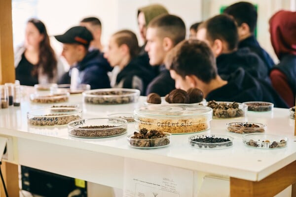 Πέντε χρόνια δράσης της Motor Oil στην Αμυγδαλέζα: Μια πρωτοβουλία για τα ελληνικά δάση