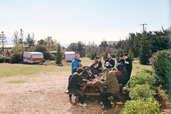 Πέντε χρόνια δράσης της Motor Oil στην Αμυγδαλέζα: Μια πρωτοβουλία για τα ελληνικά δάση